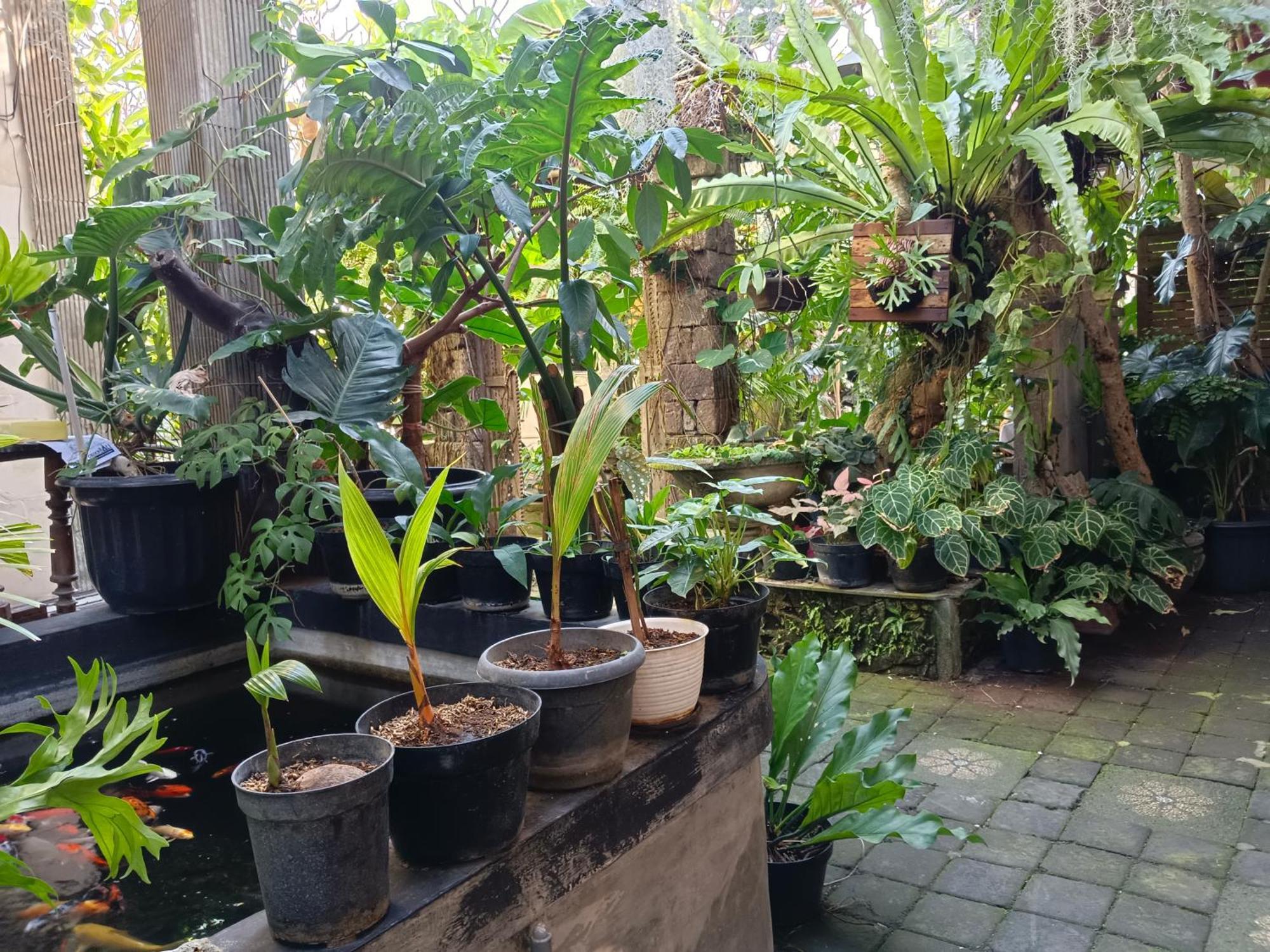 Double N Guesthouse Sanur Bali Exterior foto