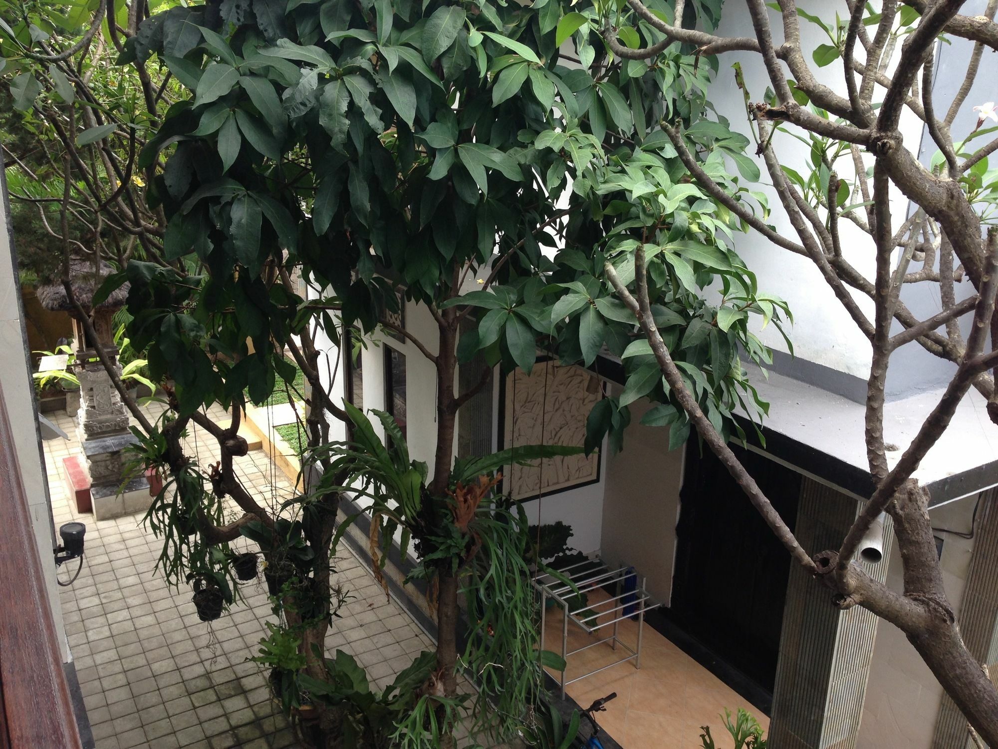 Double N Guesthouse Sanur Bali Exterior foto